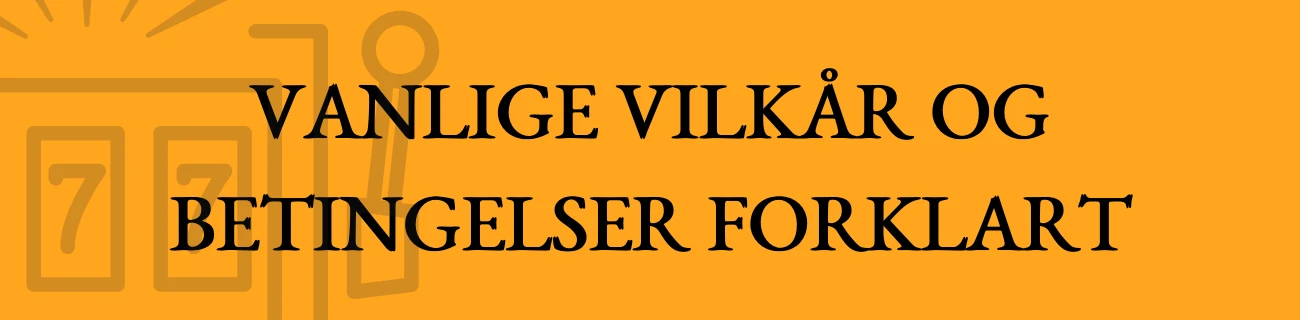 Vanlige Vilkår og Betingelser Forklart